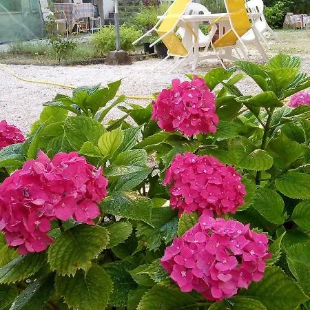 Un Giardino Vicino Al Mare 2 *